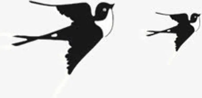燕子免抠 燕子免抠