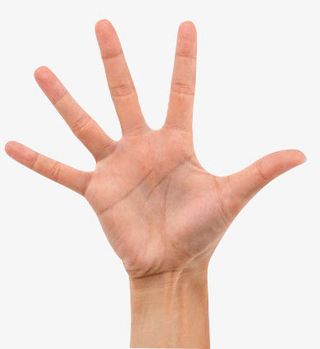 手指招聘广告主页免抠