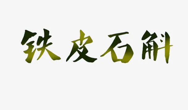 铁皮石斛免抠