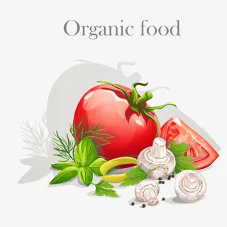 新鲜营养蔬菜矢量素材免抠