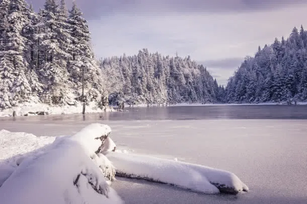 森林冬季湖面雪地免抠