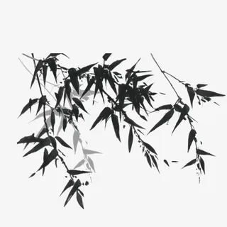 中国风竹子免抠 中国风竹子免抠