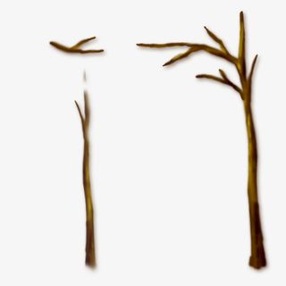 树枝免抠