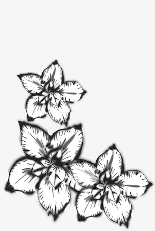春天黑色手绘花朵免抠