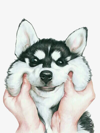 微笑的二哈免抠