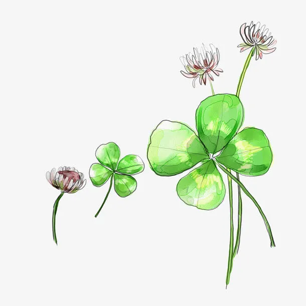 手绘花朵免抠