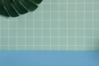 ins风方格绿白色高清