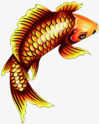 金色鲤鱼素材金秋免抠