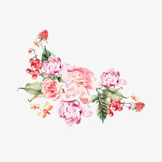 手绘牡丹花免抠