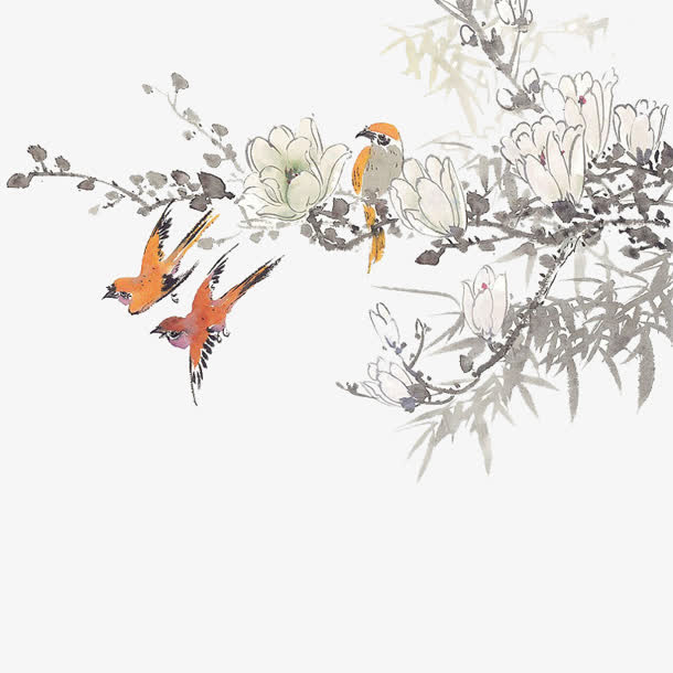 水彩古风黄鹂白花免抠