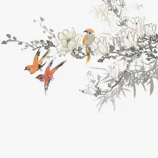 水彩古风黄鹂白花免抠