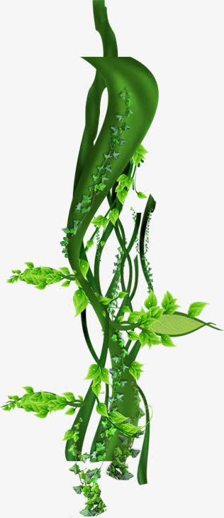 春天清新绿叶藤蔓植物免抠