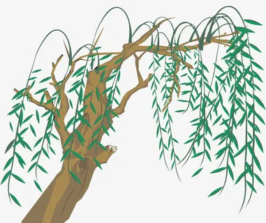 柳条免抠