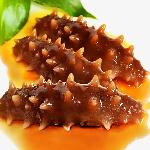 即食海参免抠