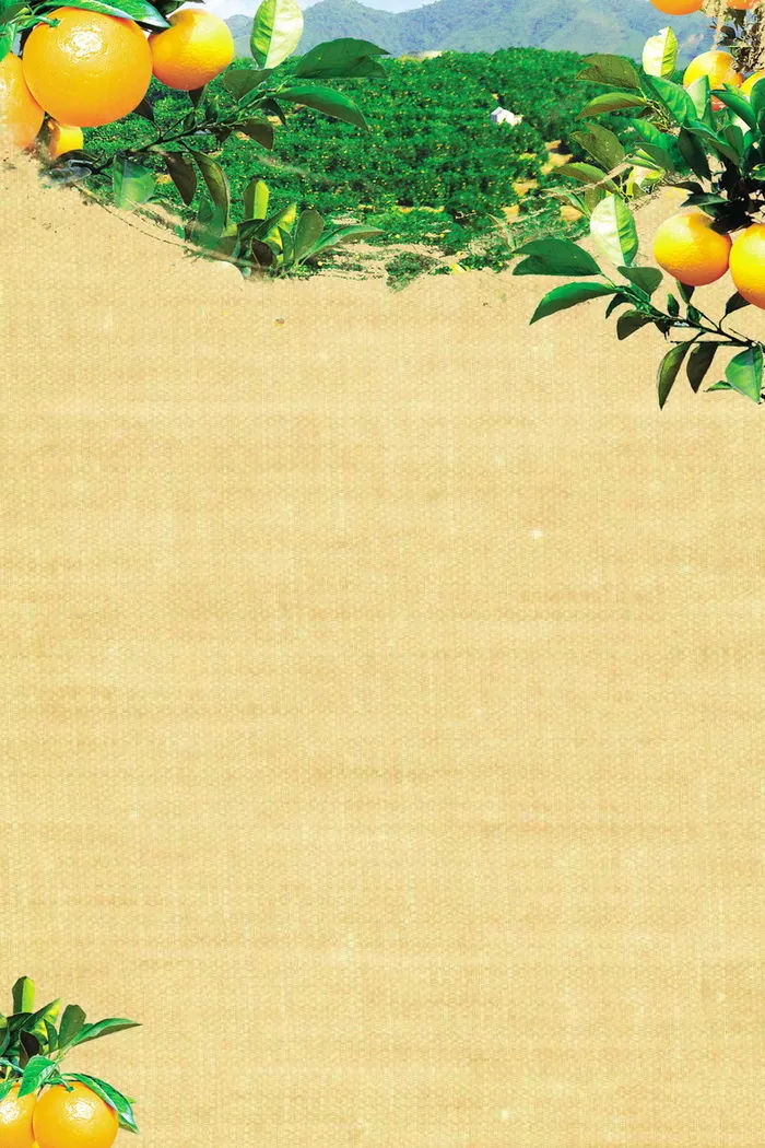 小清新新鲜蜜桔水果高清