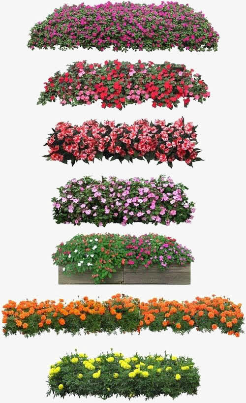 花丛免抠
