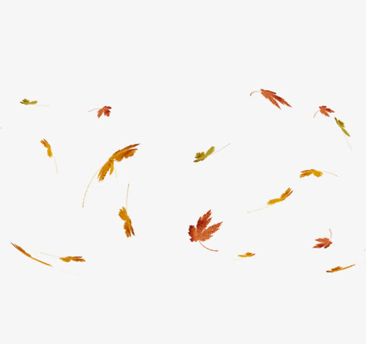 漂浮的落叶免抠