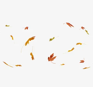 漂浮的落叶免抠