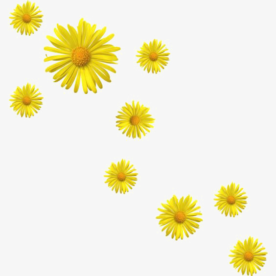 黄色花朵免抠