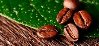 咖啡豆绿叶背景高清