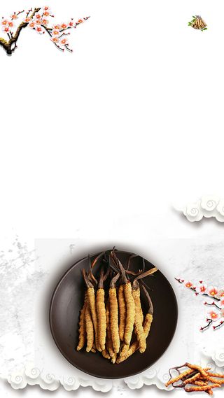 冬虫夏草补品海报H5中国风背景psd下载高清