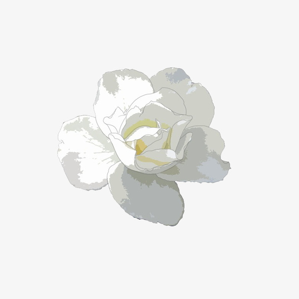 手绘茉莉免抠
