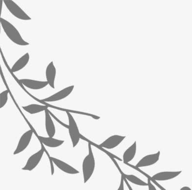 叶子免抠
