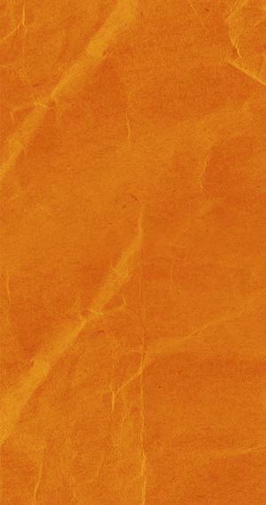 橙色背景 万圣节免抠