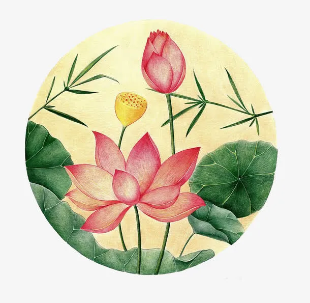 手绘荷花插画免抠