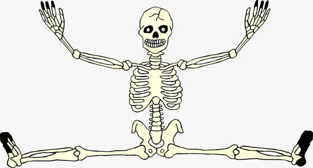 人体骷髅免抠