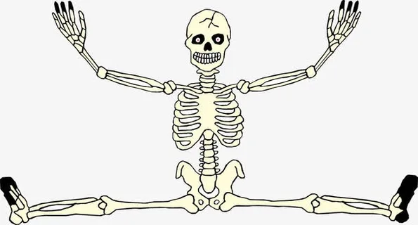 人体骷髅免抠