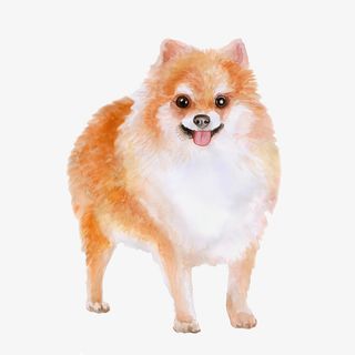 手绘水彩可爱的小狗免抠