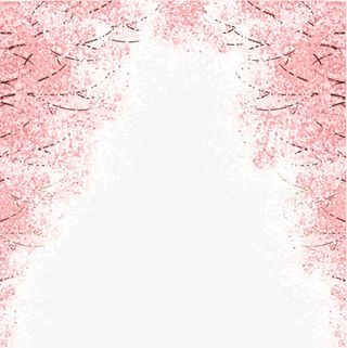 粉色的樱花树下海报背景