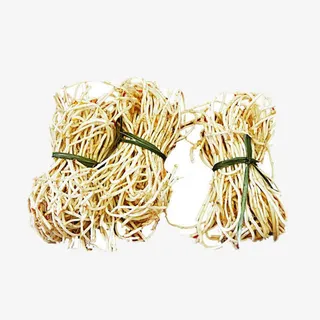 鱼腥草草根免抠