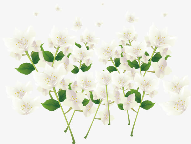 浪漫白花花纹免抠