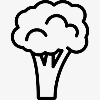 西兰花轮廓图标免抠