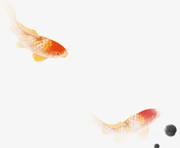 手绘中式遨游金鱼水墨免抠