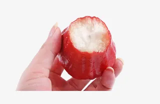 免抠黑金刚莲雾免抠