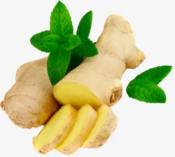 生姜素材免抠