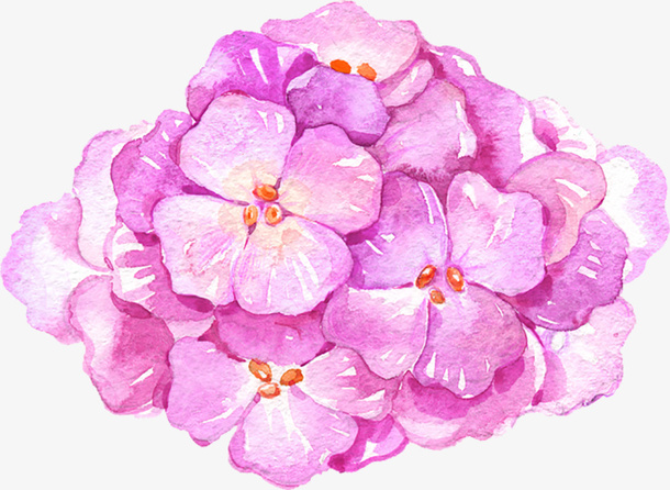 紫色水彩花朵免抠
