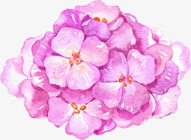 紫色水彩花朵免抠