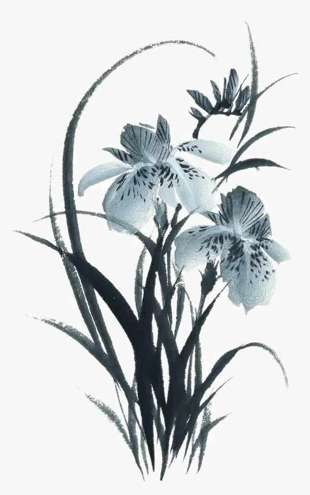 装饰花草免抠