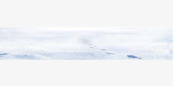雪地免抠