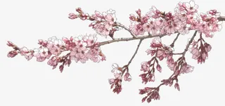 粉色桃花婚庆展架免抠