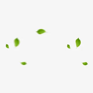 春上新绿色叶子免抠