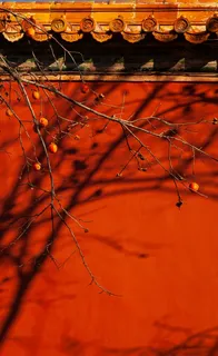 故宫，建筑，拍摄高清