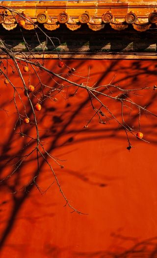 故宫，建筑，拍摄高清