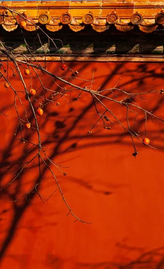 故宫，建筑，拍摄高清