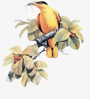 卡通国画鸟元素免抠 卡通国画鸟元素免抠