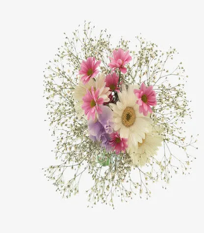 菊花和小雏菊鲜花免抠